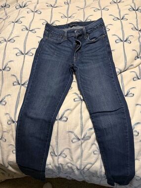 Aeropostale Women's Navy Skinny Jeans